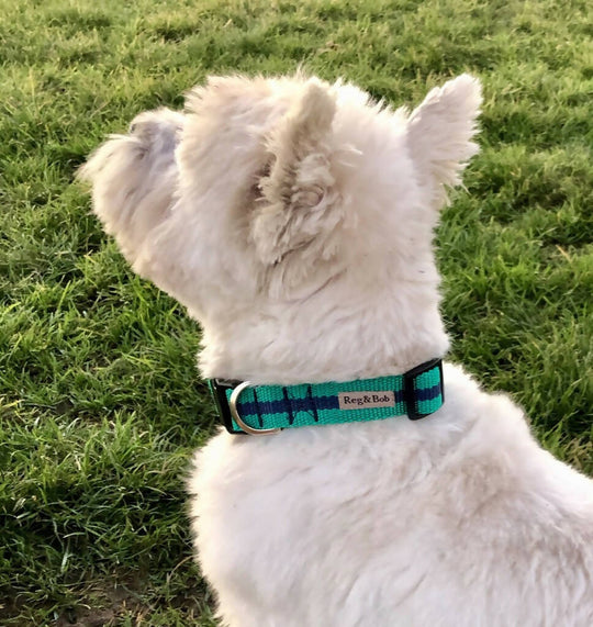 Dog Collar In Teal And Navy Stripe - 4 sizes