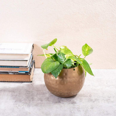 Hammered Round Gold Planter