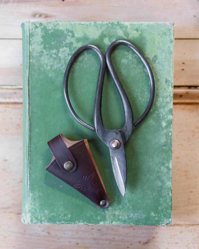 Large Garden Scissors in Leather Holder