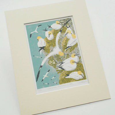 Gannets, Bempton Cliffs - Limited Edition - Original Linocut Print