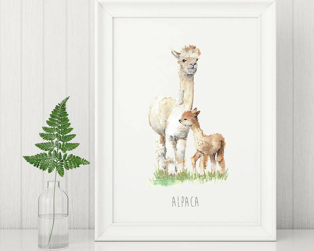 Alpacas Watercolour Art Print