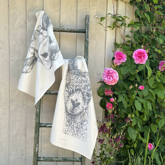 Set of Two Natural Cotton Tea Towels ~ Guernsey Cow and Alpaca