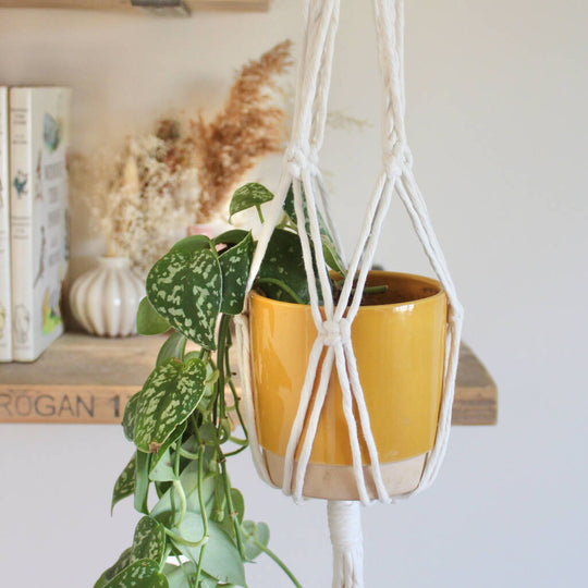 DIY Macrame Plant Hanger Craft Kit