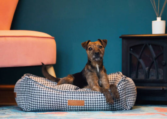 Luxury Houndstooth Dog Bed With Removable Covers | Kensington