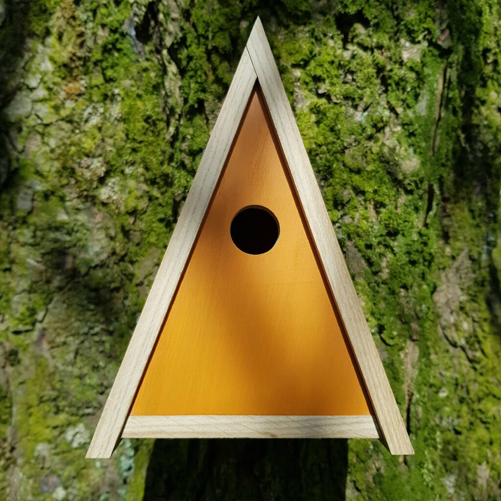 Triangular Bird Box Design Painted Oak Bird Box|Country Living Marketplace