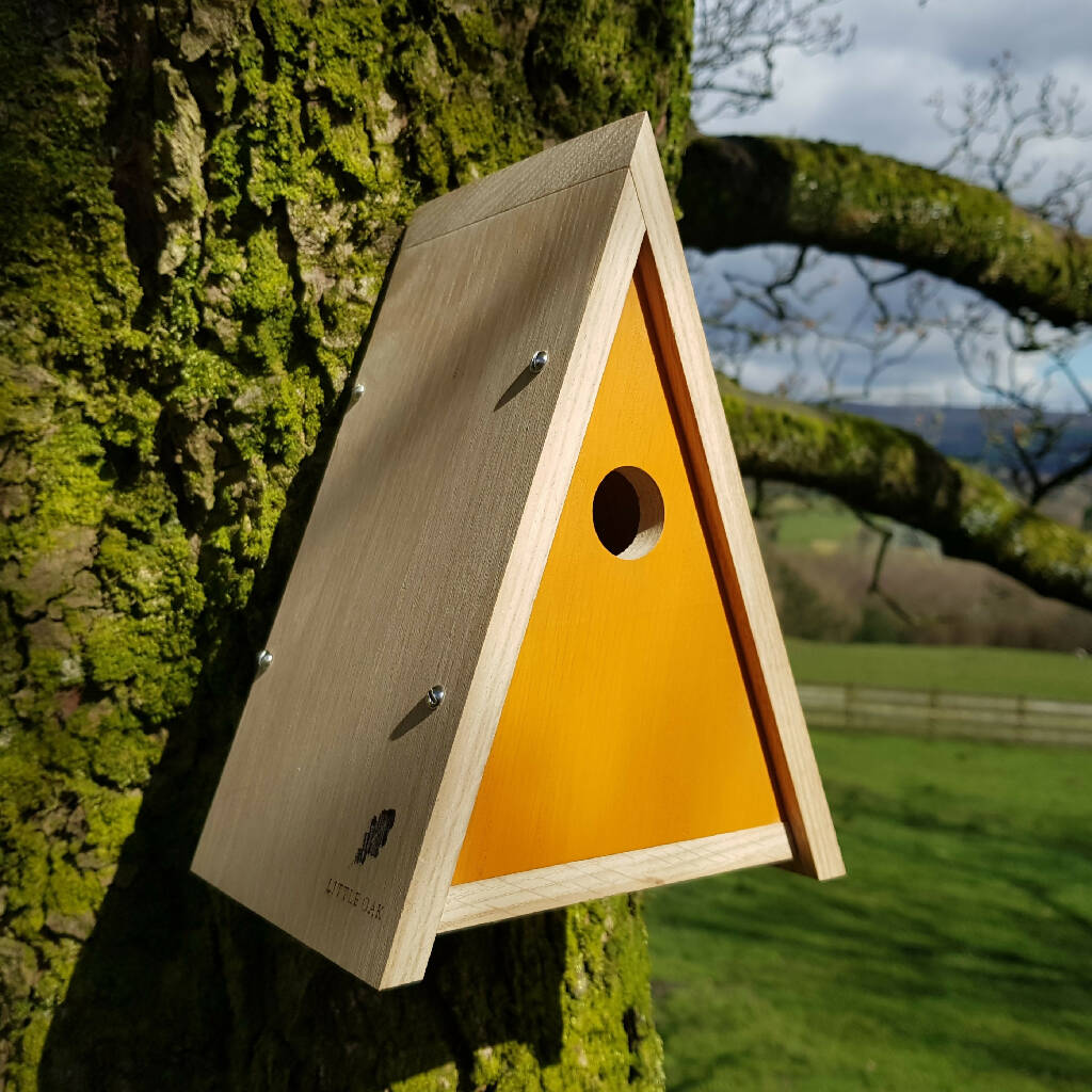 Triangular Bird Box Design Painted Oak Bird Box|Country Living Marketplace