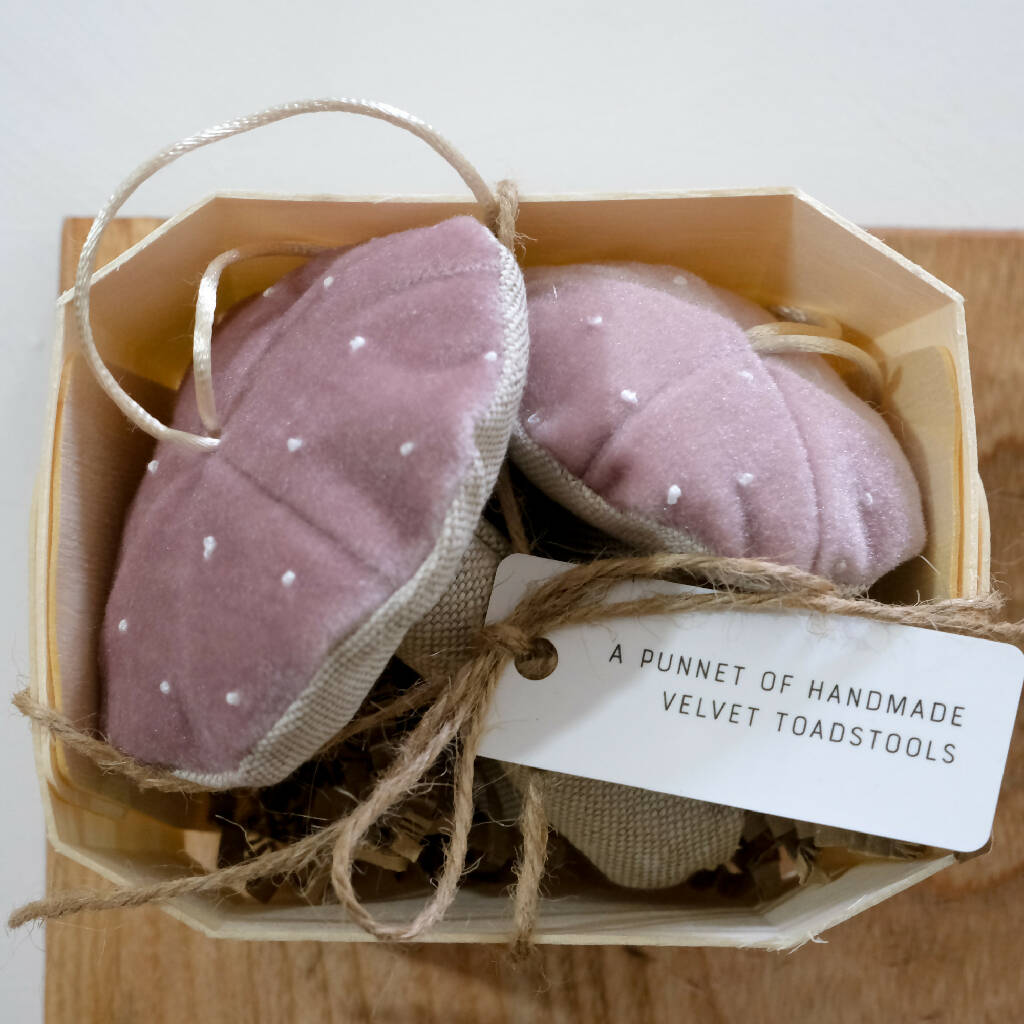 A wooden punnet with two pink velvet toadstool decorations.
