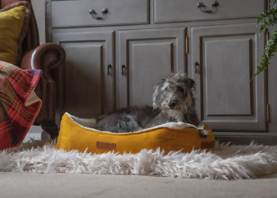 Luxury Velvet Dog Bed With Removable Covers | Sandringham