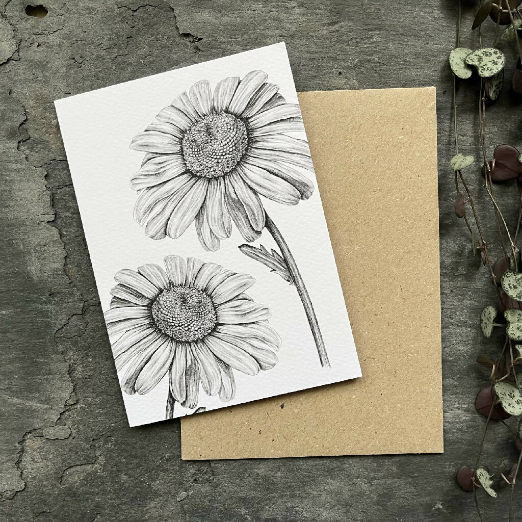 Daisy Blank Greetings Card