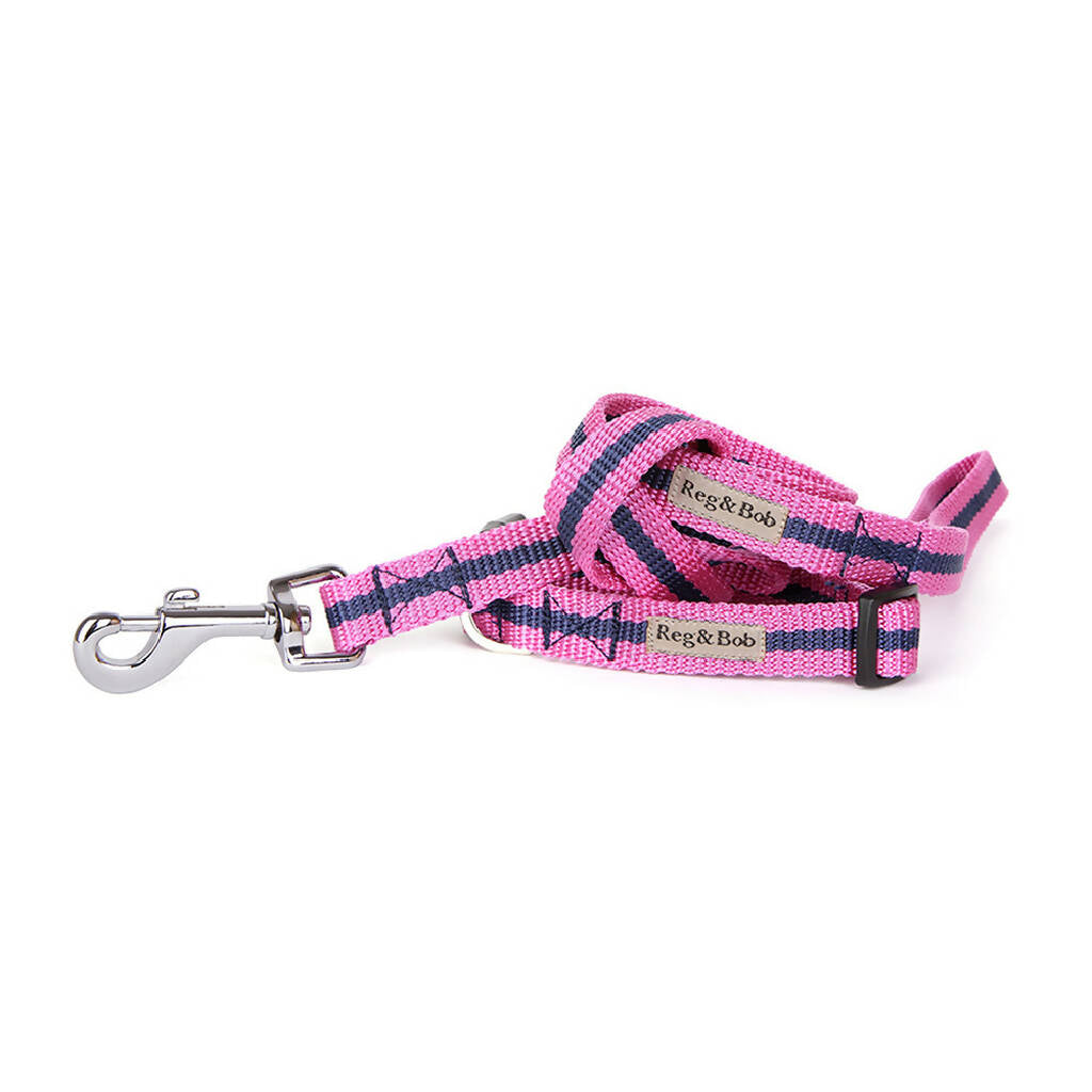 Dog Collar & Lead Set In Pink And Navy Stripe