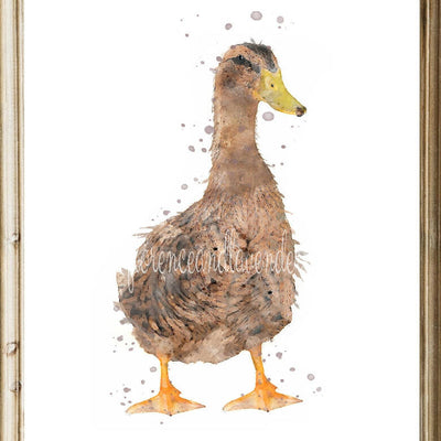 Trio Of Watercolour Duck Prints