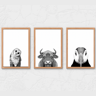 Cow, Puffin & Owl Print Set