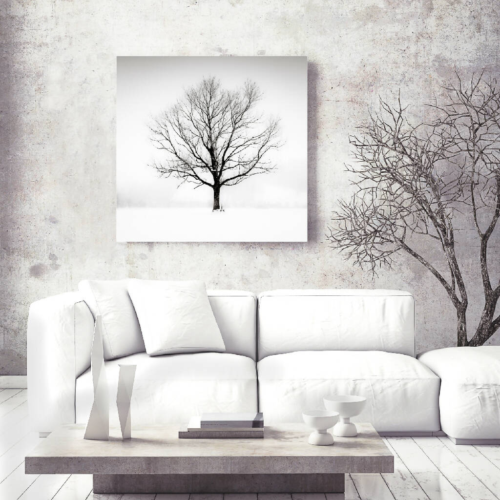 'Solitude in White' - Large Print in Black and White