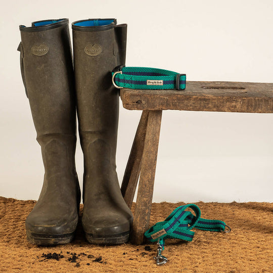 Dog Collar & Lead Set In Teal And Navy Stripe - 4 sizes