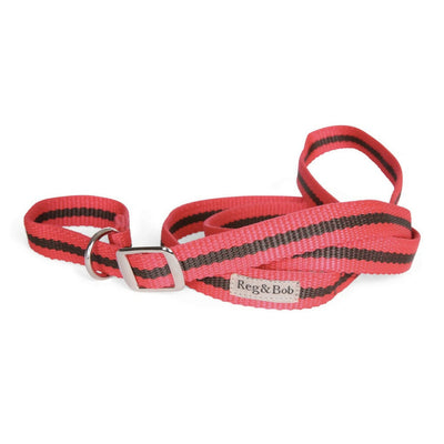 Dog Slip Lead In Red And Brown Stripe