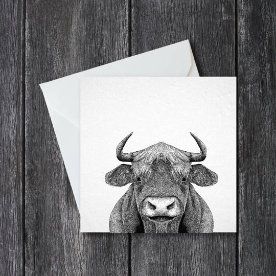 Highland Cow Greeting Card