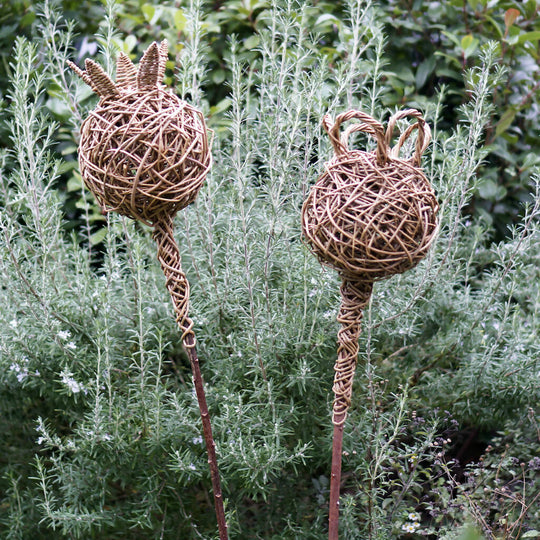 Willow Poppy Seed Heads Kit