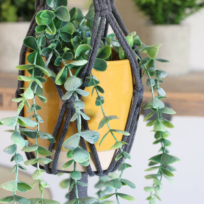 Macrame Plant Hanger