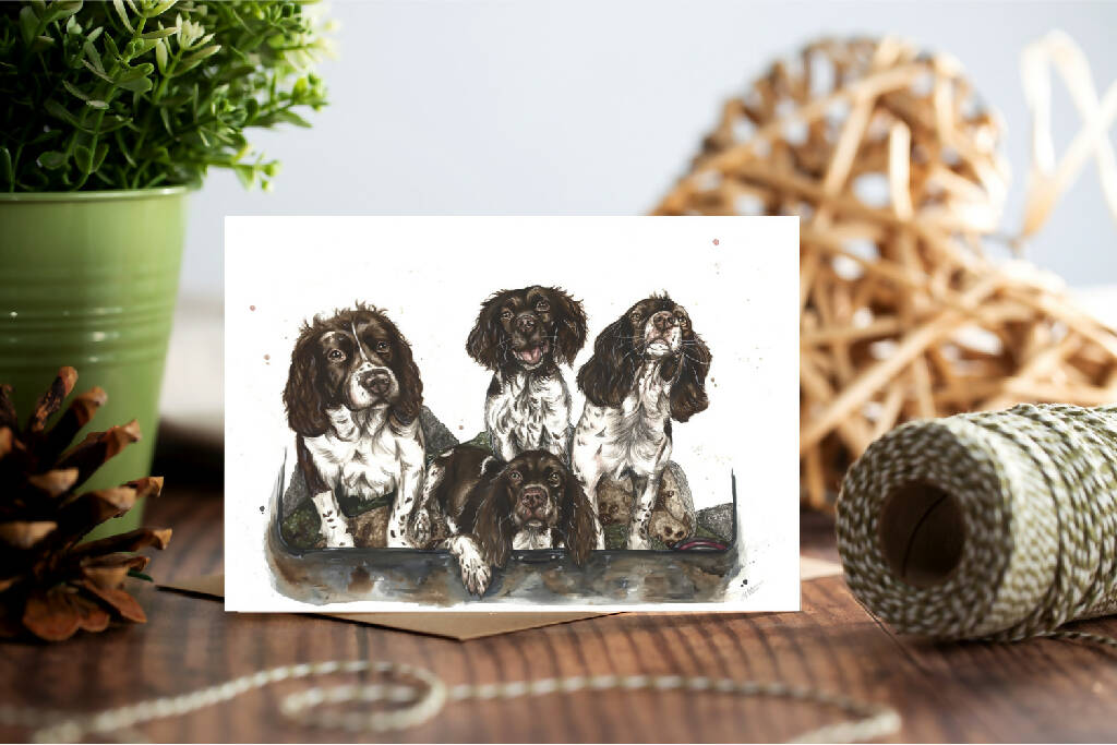 Springer Spaniels Greeting Card