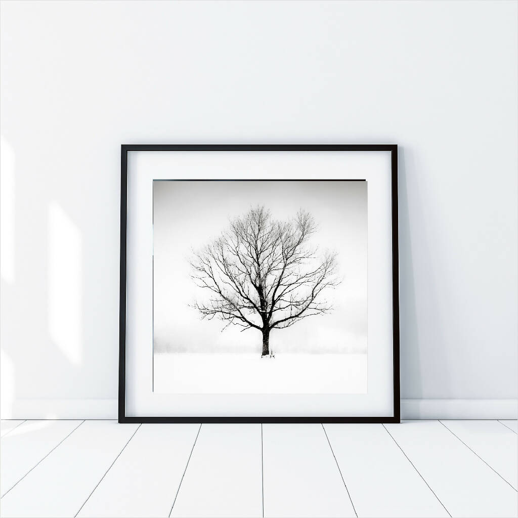 'Solitude in White' - Large Print in Black and White