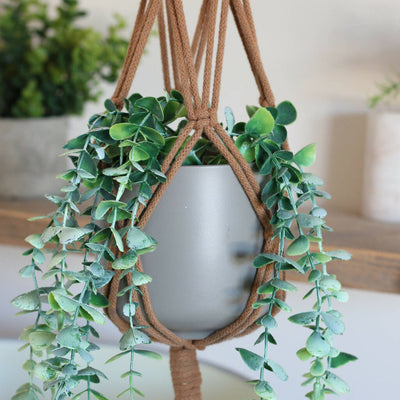 Macrame Plant Hanger