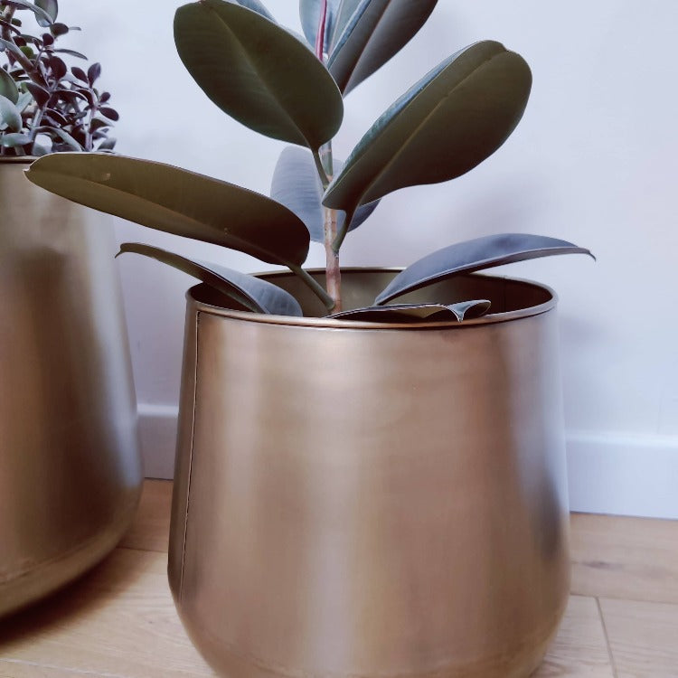 Large Brass Plant Pots