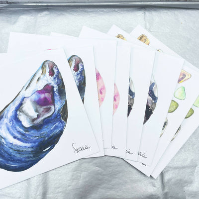 Set of 8 Watercolour Cornish Seashell Postcards