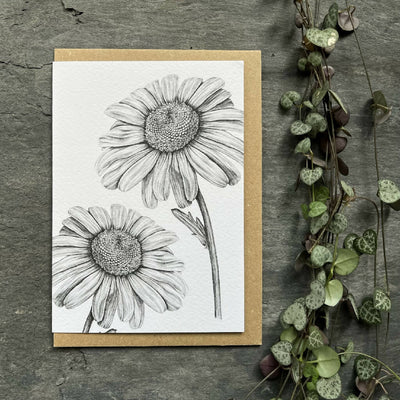 Daisy Blank Greetings Card