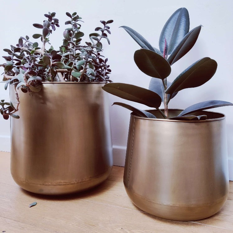 Large Brass Plant Pots