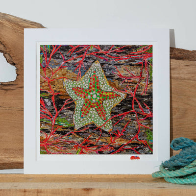 Asterina Phylactica - Limited Edition Print