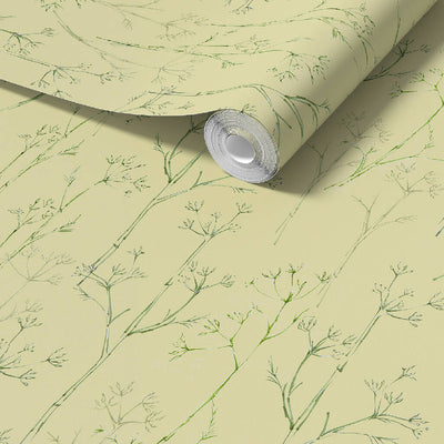 Fennel-Muted Zest-Sustainable wallpaper-Roll Visual