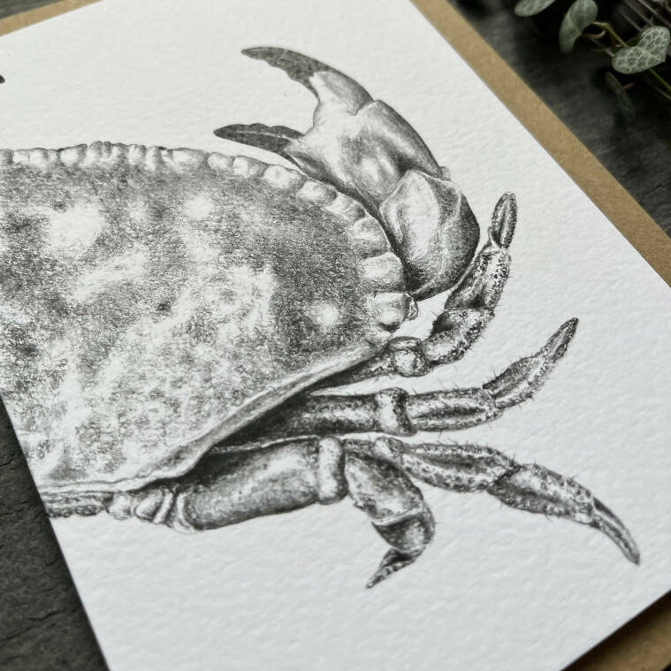 Crab Blank Greetings Card