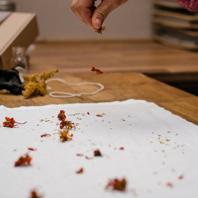 Natural Dye Kit - Linen Napkins