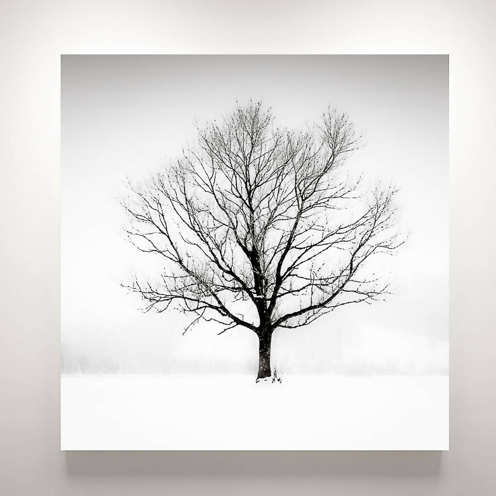 'Solitude in White' - Large Print in Black and White