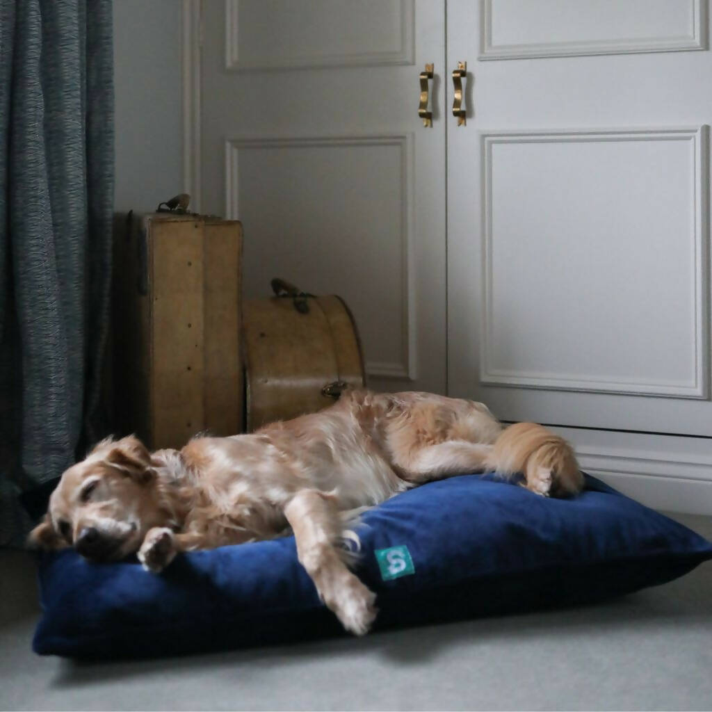 Corduroy Dog Bed - Blueberry