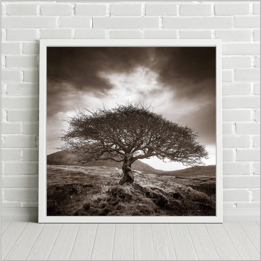 The One Tree - Sepia Tree Print