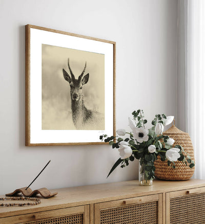 Young Buck - Sepia Print on Fine Art Paper or Canvas