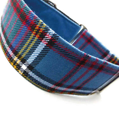 Anderson Tartan Martingale Collar in Air Force Blue