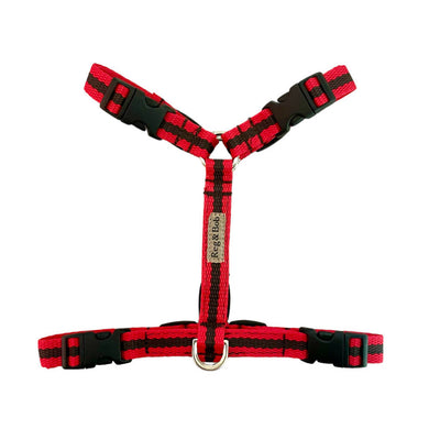 Reg&Bob-red-striped-dog-harness