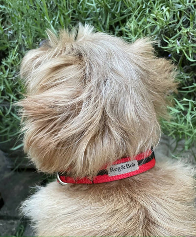 Dog Collar In Red And Brown Stripe