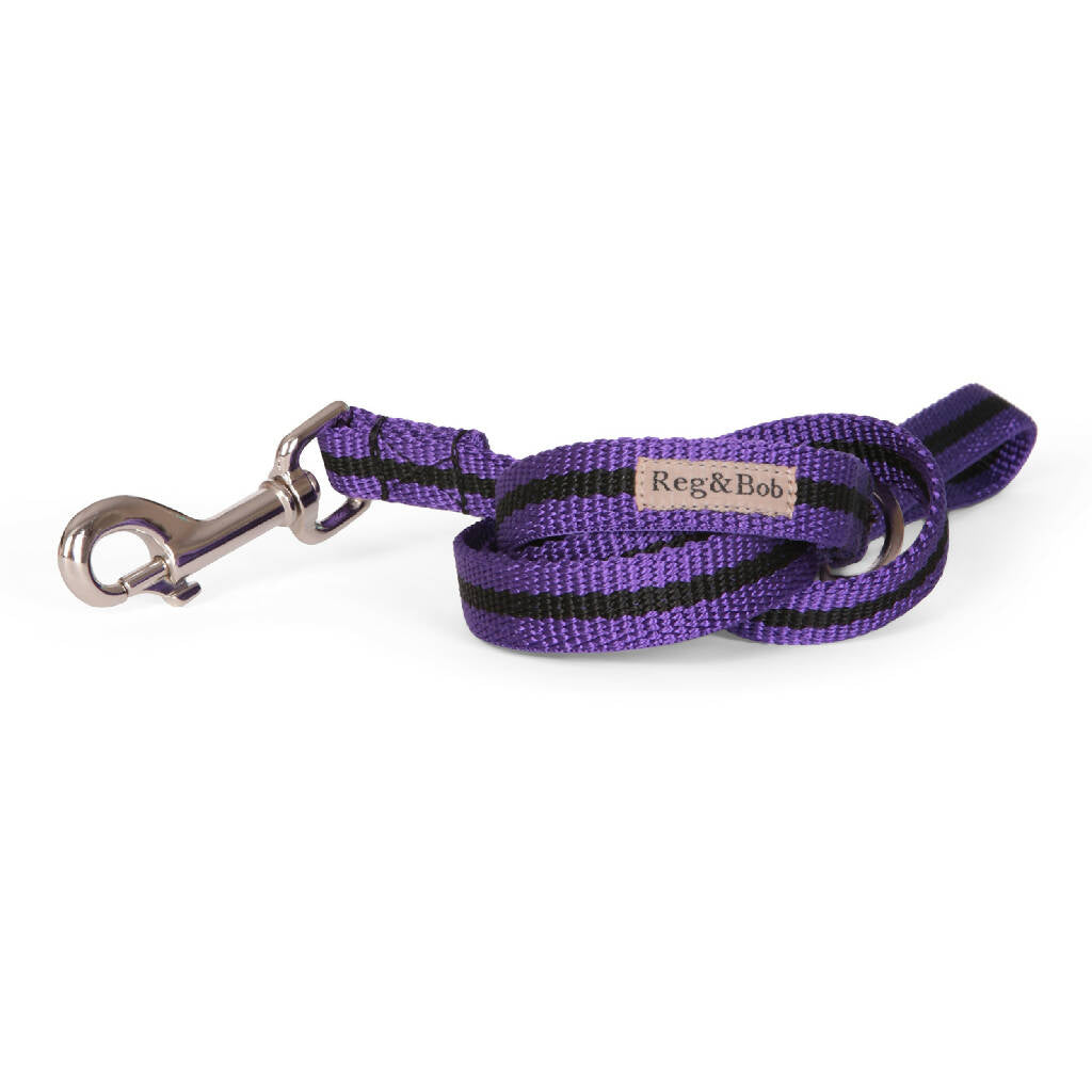 Dog Lead In Purple And Black Stripe