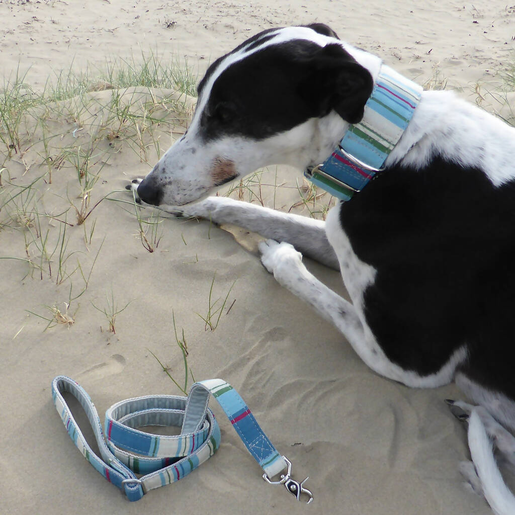 Whitby Buckle Collar