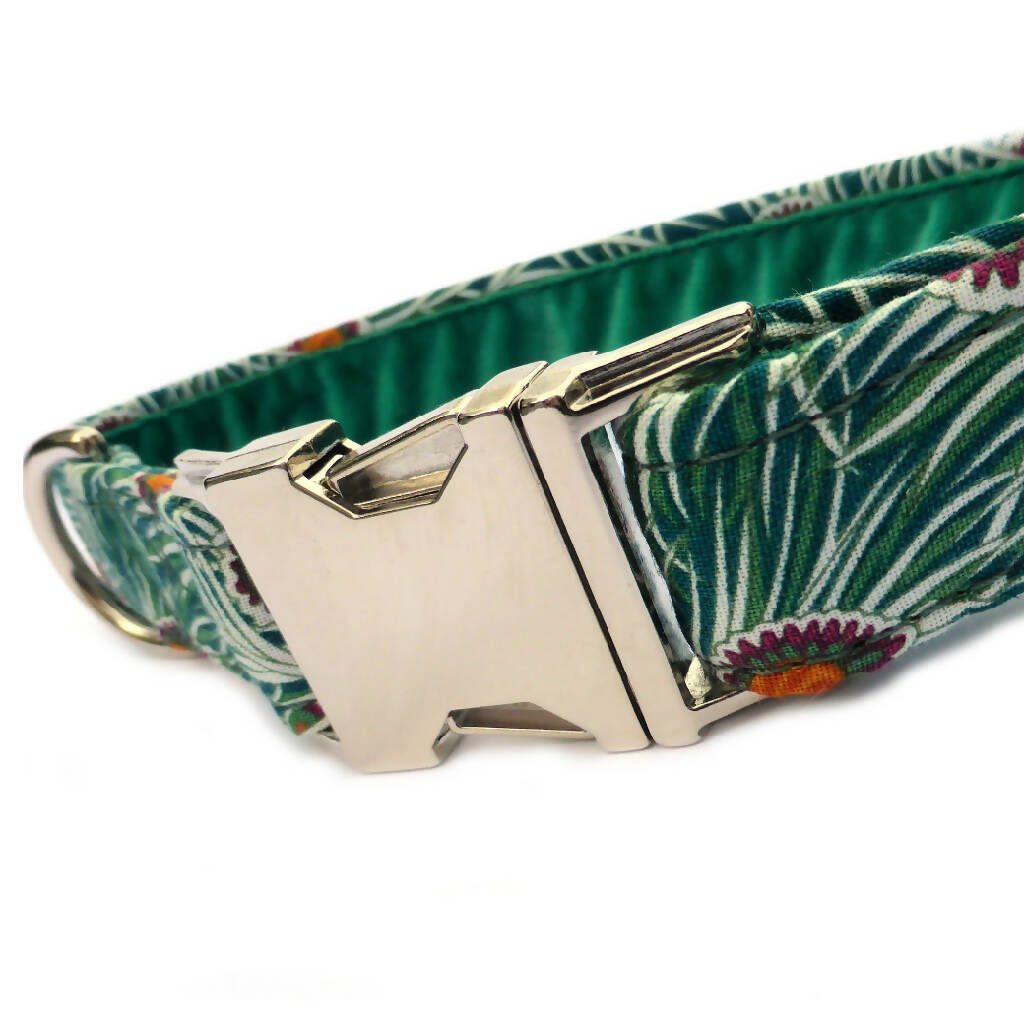 Piper Peacock Buckle Collar