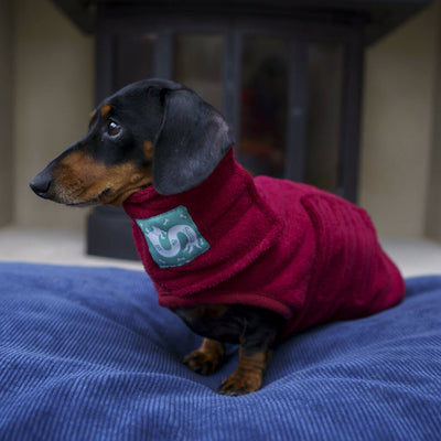 Terry Towelling Dog Gown