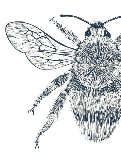 Bumblebee Lino Print