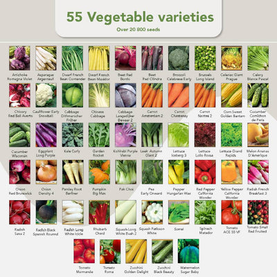 55 veg