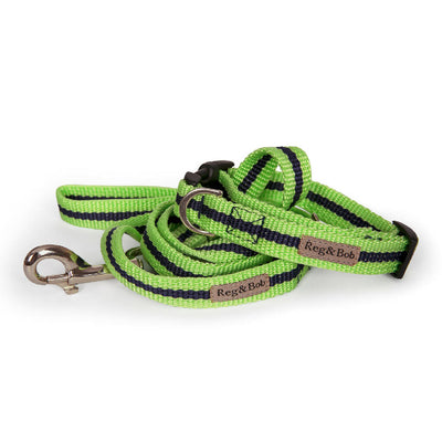 Dog Collar & Lead Set In Lime And Navy Stripe