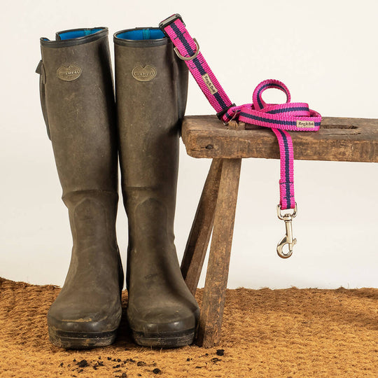 Dog Collar & Lead Set In Pink And Navy Stripe - 4 sizes