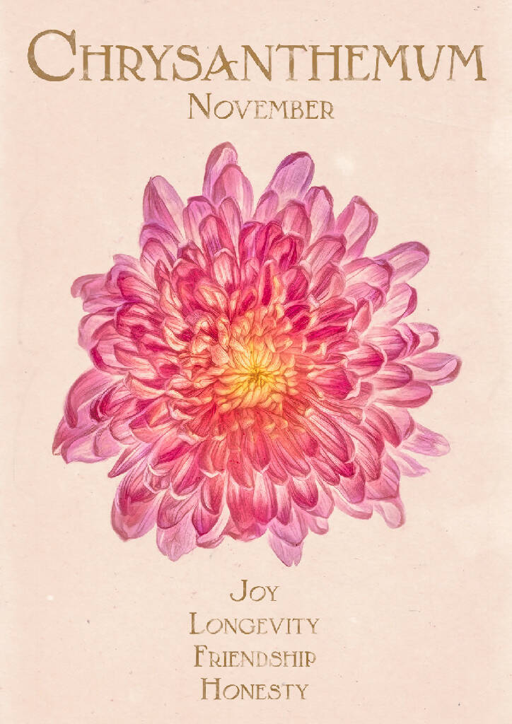 November Birth Flower Fine Art Print