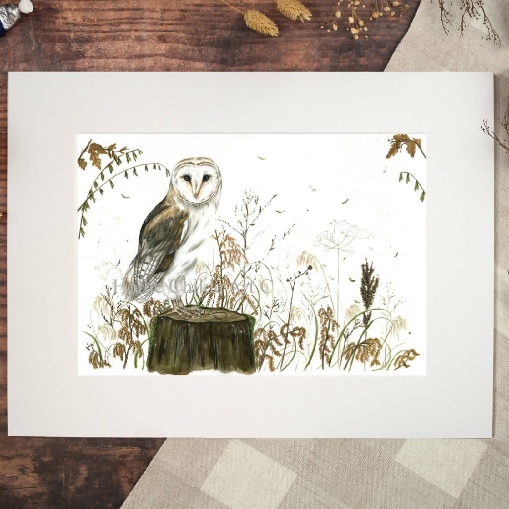 The Barn Owl Limited Edition Print